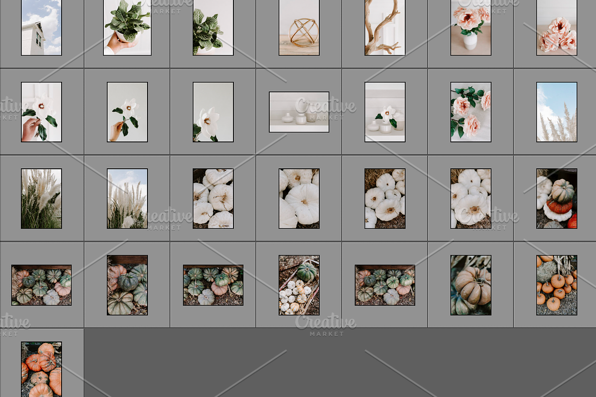 Farmhouse Fall Styled Stock Photos, a Holiday Photo by LaPorte Images (Photo 12 of 12)