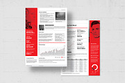 Fact Sheet Template, a Flyer Template by BrandPacks (Thumbnail 4 of 5)