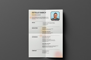 Unique CV Resume