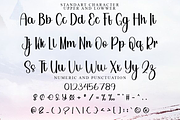 Paradise, a Handwritten Font by FreshTypeINK (Thumbnail 4 of 8)