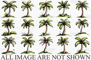 Whimsical Summer Palm Tree Clipart, an Illustration by Canvas Craft (Thumbnail 3 of 7)