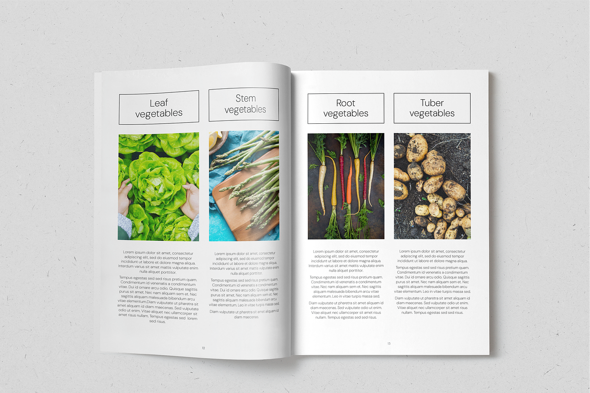 Everyday Veggies Recipe Book, a Magazine Template by SonaGeciova (Photo 7 of 17)