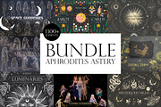 1300+ Aphrodites Astery Bundle, an Object Illustration by Chikovnaya (Thumbnail 1 of 20)