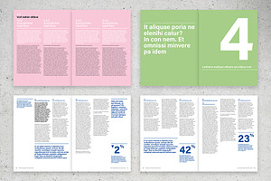 Minimalist Business Annual Report