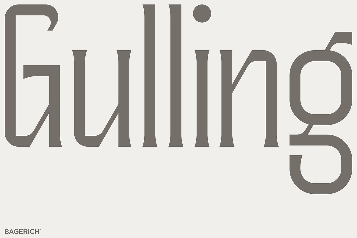 Gulling, a Serif Font by Bagerich Type Foundry (Photo 1 of 11)