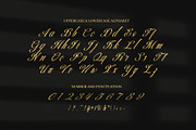Beatric Elegant Script Font, a Script Font by Elegant Font (Thumbnail 8 of 8)