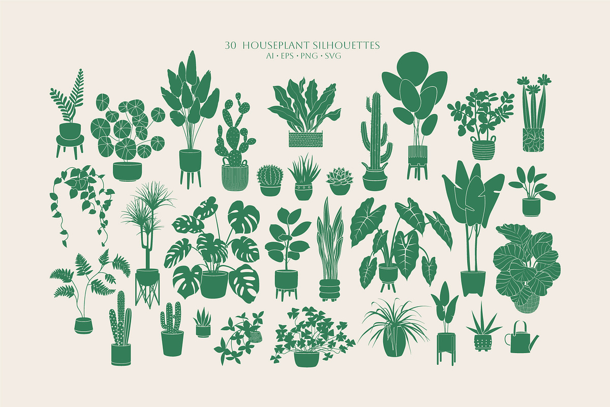 Home Plants | House Plants in Pots, a Decorative Illustration by Berentine.art (Photo 10 of 16)