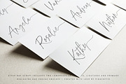 Modern Font & Logo Bundle - 85%Off, a Script Font by Pink Coffie (Thumbnail 39 of 65)