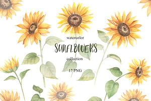 Watercolor Sunflower Cliparts