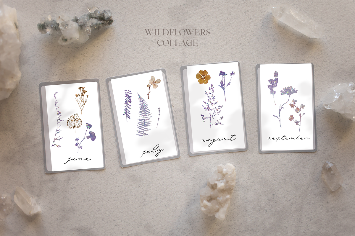 Wildflowers collage collection, a Texture Graphic by Anna Sokol (Photo 11 of 21)