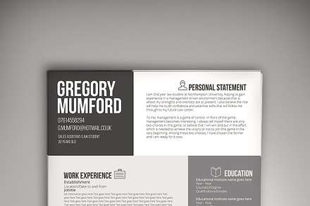 6 Shades CV/Resume