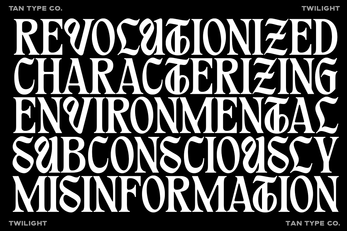 TAN - TWILIGHT, a Blackletter Font by TanType (Photo 2 of 13)