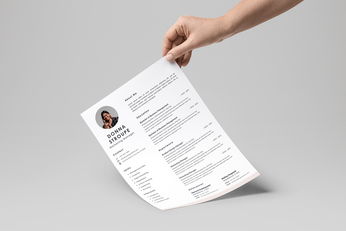 Resume/CV preview 2