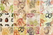 Hand drawn vector plants, a Food Illustration by SHom (Thumbnail 15 of 17)