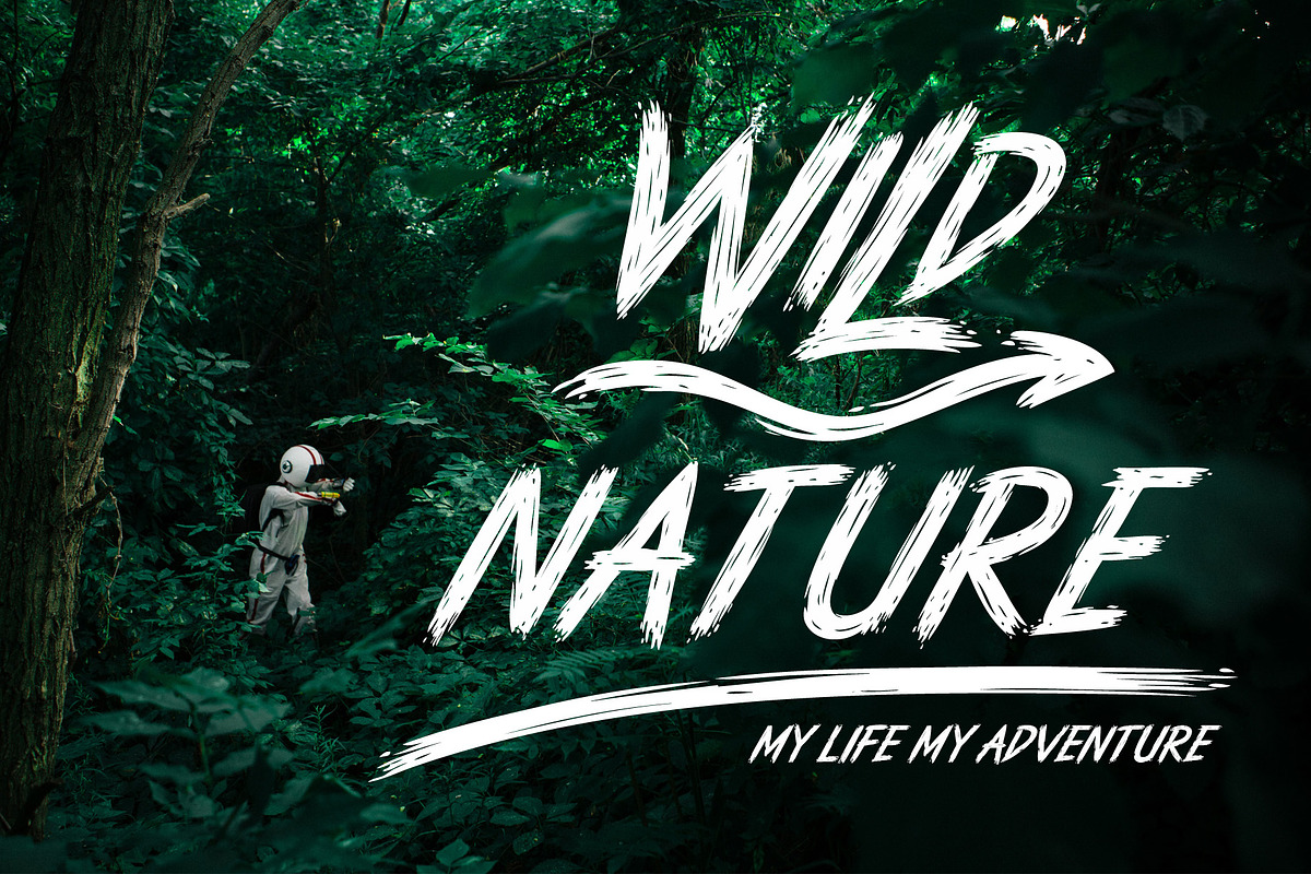 Wild Strokes preview 4