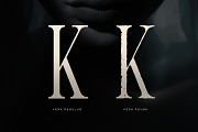 Vera Typeface, a Serif Font by Tugcu Design Co. (Thumbnail 5 of 5)
