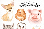 Chic Animals Watercolor Clip Art, an Animal Illustration by everysunsun (Thumbnail 2 of 5)