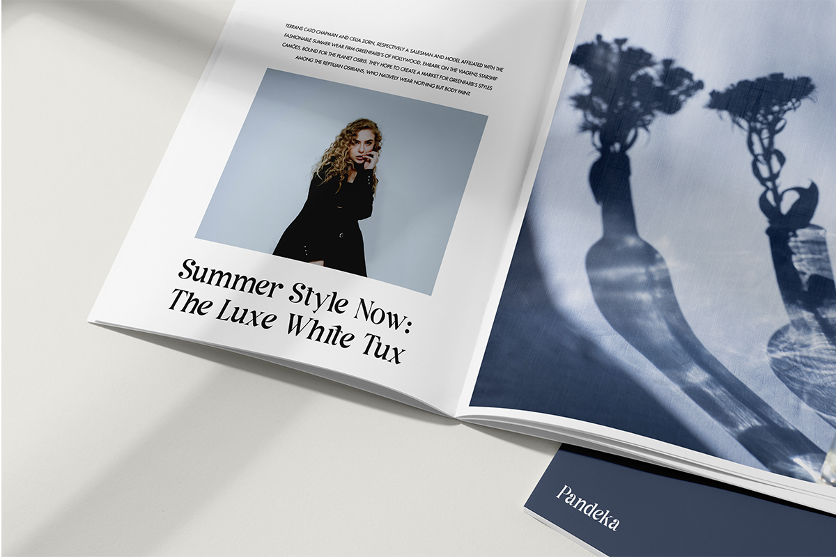 Mage - Modern Sharp Serif, a Serif Font by Pandeka Studio (Photo 10 of 12)