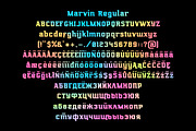 Marvin regular & oblique, a Slab Serif Font by NREY (Thumbnail 2 of 4)