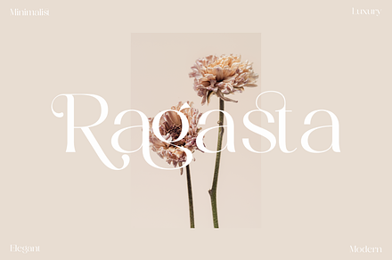 Ragasta Modern Serif Font, a Serif Font by Storytype Studio