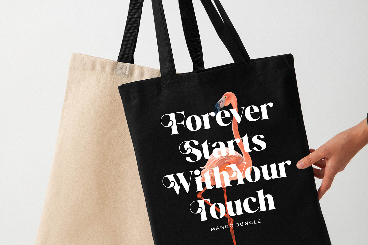 Mango Jungle Modern Bold Serif, a Serif Font by timelesstype.co (Photo 10 of 20)
