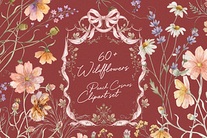 Peach Cosmos Wildflower Clipart Set