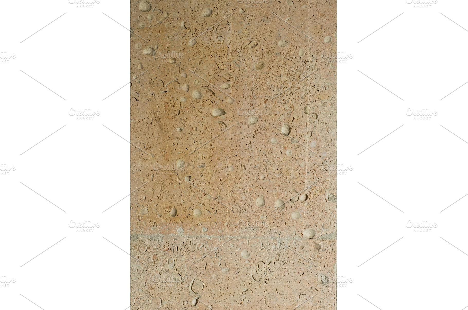 Close-up image of a rock surface, a Background Photo by Rohan Photography