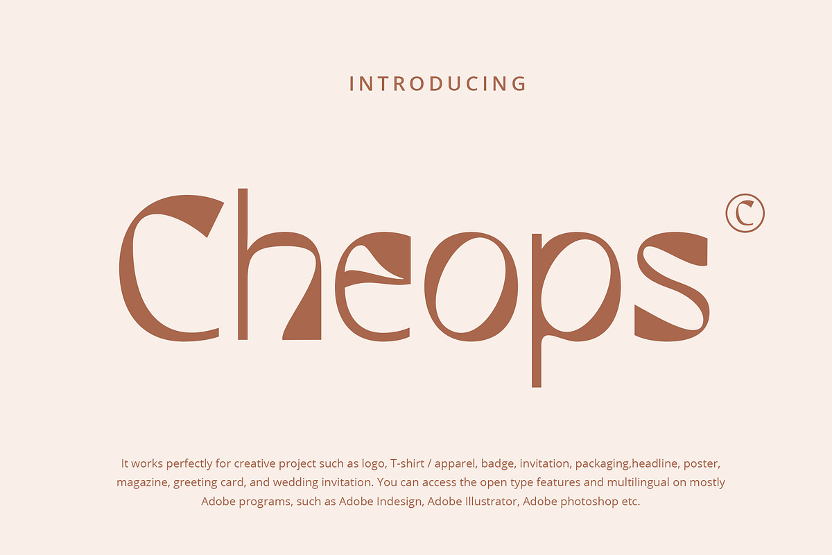 Cheops, a Sans Serif Font by Damelev (Photo 1 of 11)