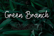 Blind Matte - Script Font, a Script Font by NTC Graphic (Thumbnail 6 of 9)