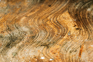 Concrete Floor Patterns, an Abstract Photo by THP Creative