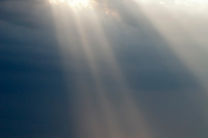 Ray of Light, a Nature Photo by THP Creative