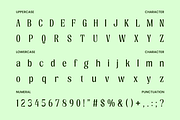 Waldien Modern Editorial Sans Font, a Sans Serif Font by Rasio Studio (Thumbnail 2 of 11)