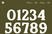 CS Clarion Drawn, a Serif Font by Craft Supply Co. (Thumbnail 5 of 8)