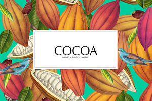 Cocoa Pattern