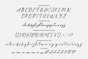 Railleu Mychelia, a Script Font by Shopifont.co (Thumbnail 12 of 13)
