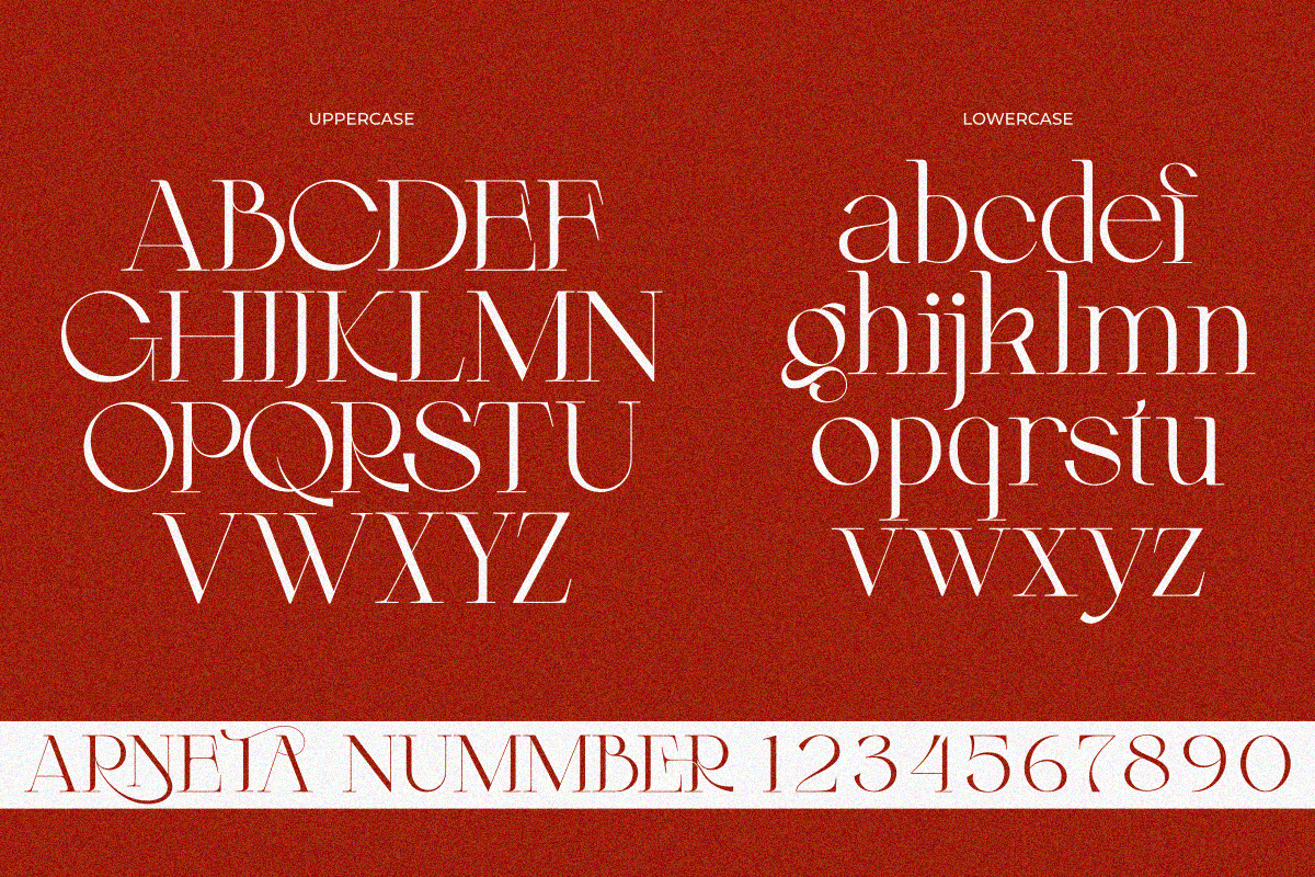 Arneta, a Serif Font by zaaintype (Photo 9 of 11)
