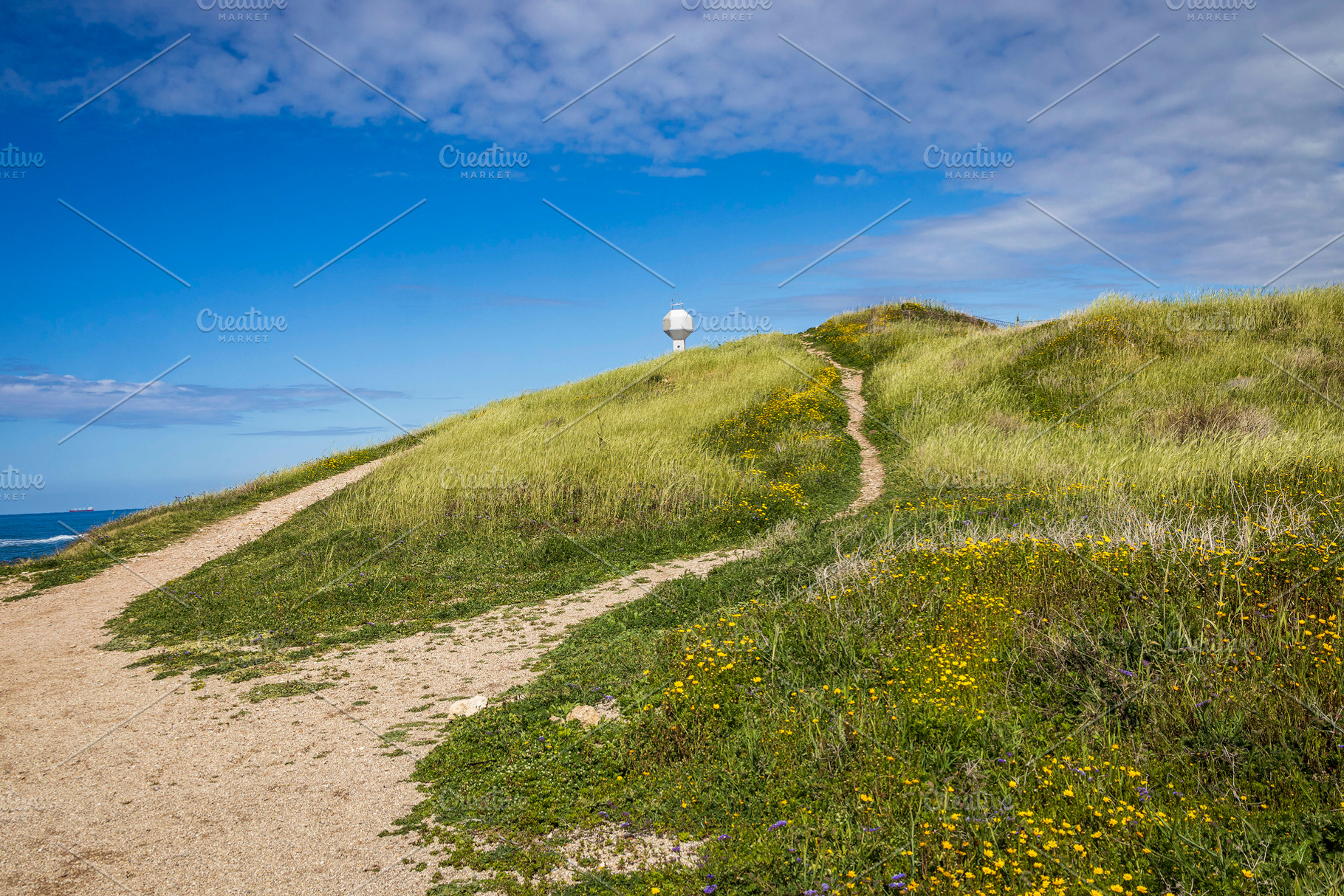 Hill near the sea, overgrown, a Nature Photo by Imaginarium