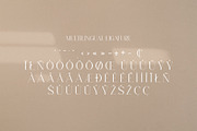 Levaus - Ligature Typeface, a Serif Font by Graphicxell (Thumbnail 16 of 17)