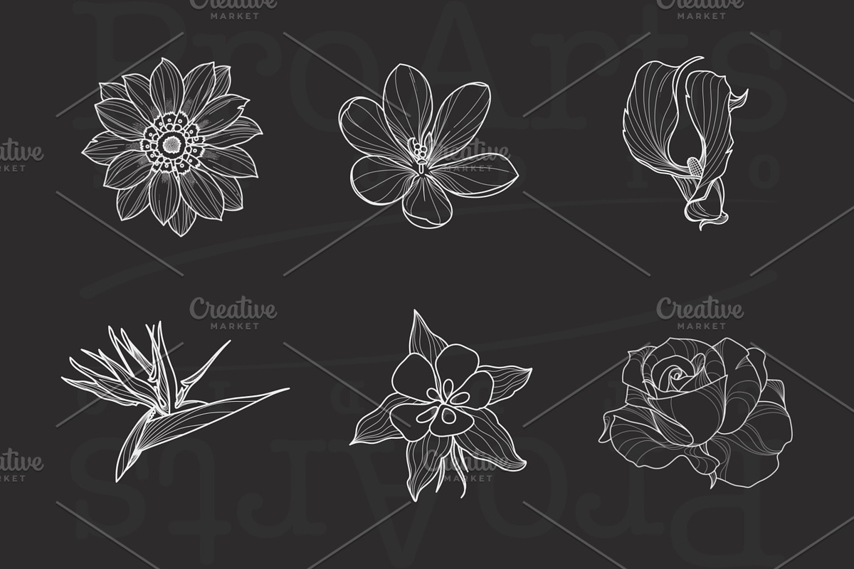 Ornament + Flowers, Pattern + Flower, a Brush Add-On by Lucrumplus (Photo 9 of 10)