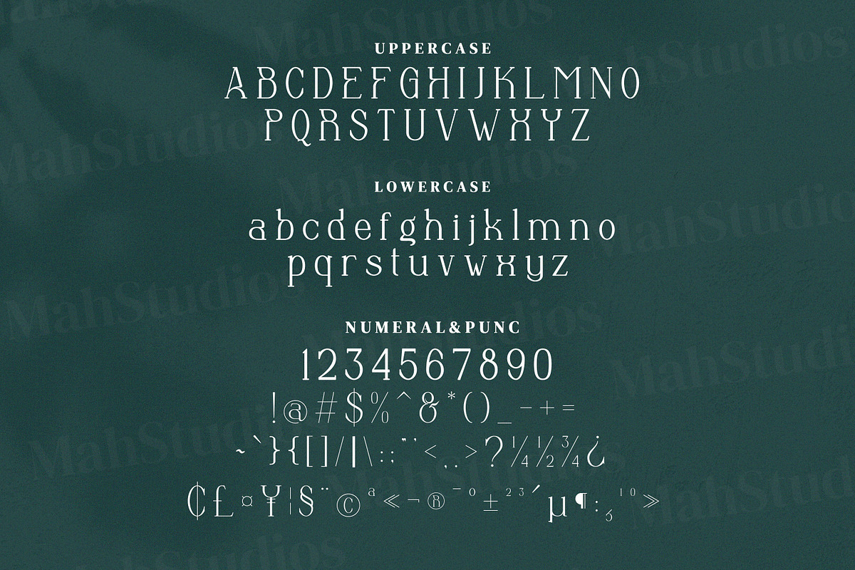 Anbittah Serif Fonts, a Serif Font by mahstudios (Photo 11 of 13)