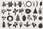 Winter Botanicals Clipart, a Seasonal Illustration by RaDavCrafts (Thumbnail 4 of 12)