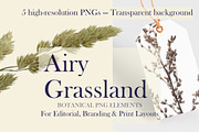 Airy Grassland — Fine Grasses & Seed, an Object Graphic by Aga Silva (Thumbnail 1 of 5)