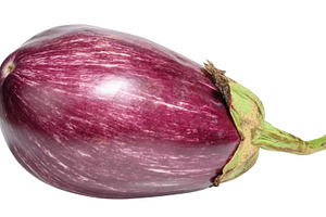 Fresh striped eggplant, isolated background. Close-up, a Food & Drink Photo by ndanko