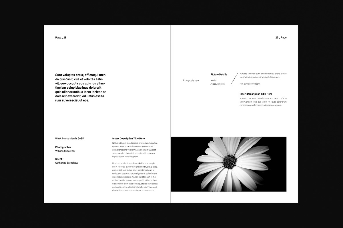 Photography Portfolio Template, a Brochure Template by DesignCrest (Photo 9 of 17)