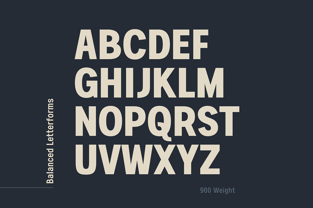 Astute Neo-Grotesque Modern Sans, a Sans Serif Font by Parker Creative (Photo 9 of 10)
