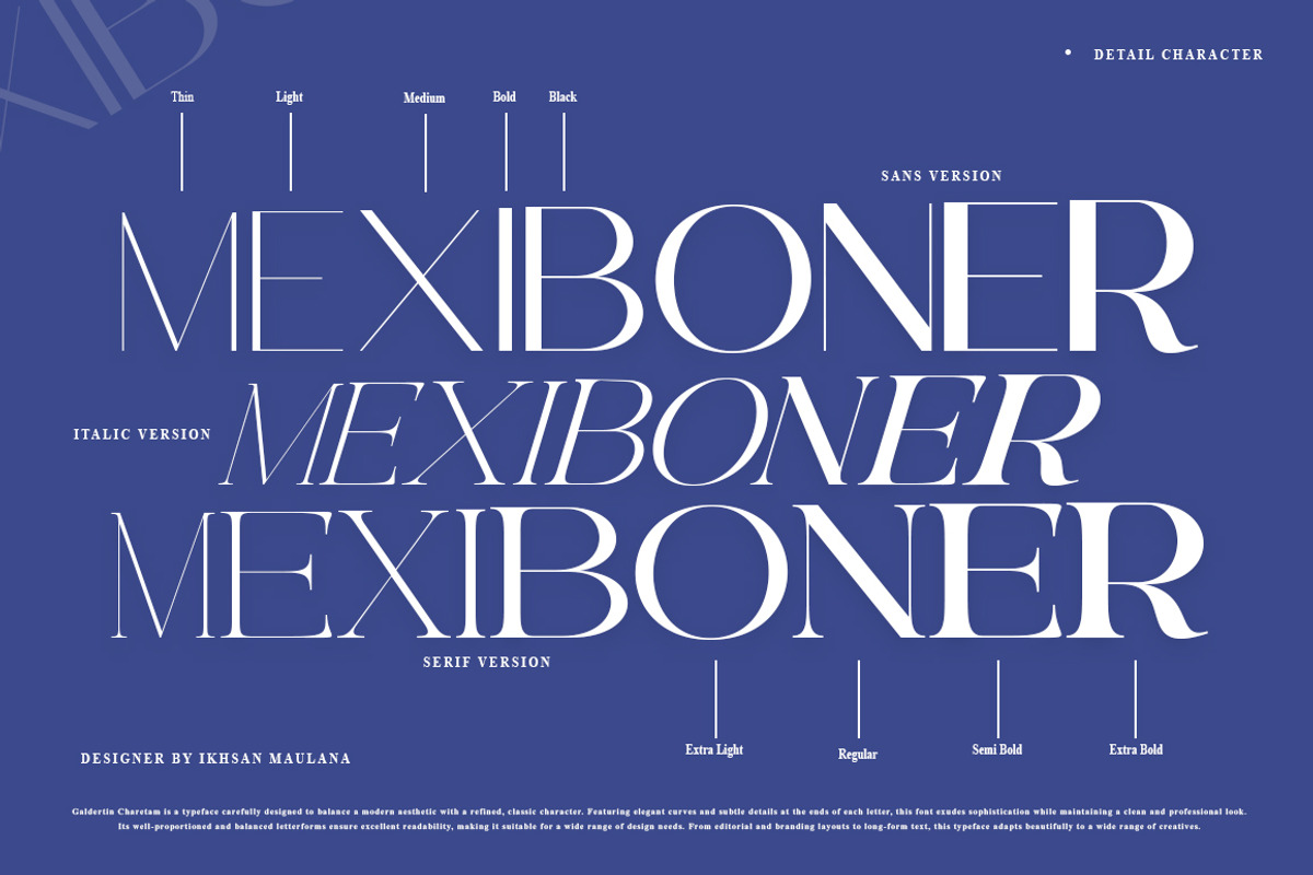 Galdertin Charetam | 141 Font Style, a Serif Font by IM Studio (Photo 4 of 12)