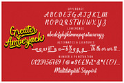 Greater Amberjack, a Script Font by Megatype (Thumbnail 9 of 10)