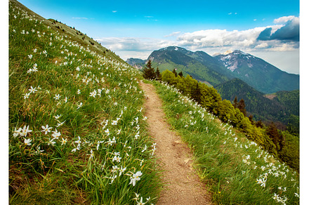 Beautiful mountain landscape with, a Nature Photo by Nature and travel