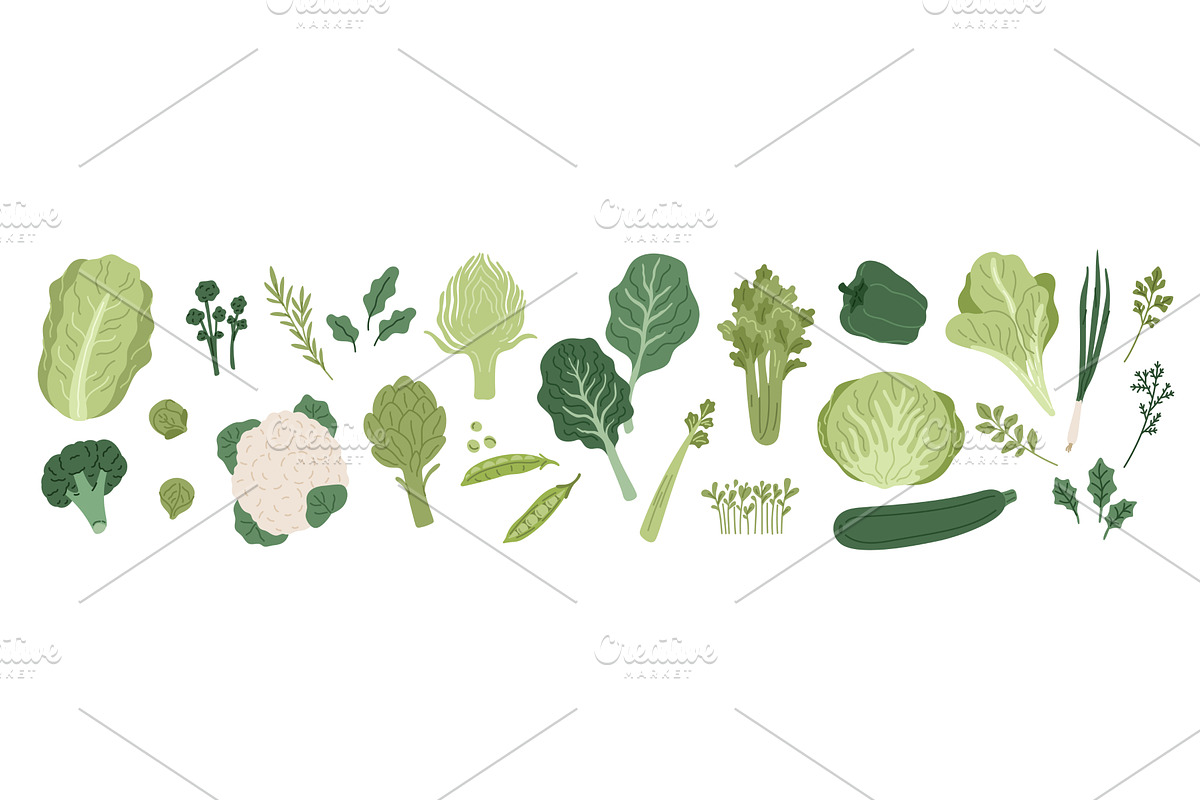 Green vegetables. Fresh leaf salad, a Food Illustration by YummyBuum