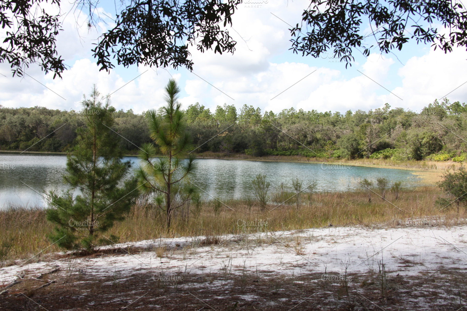 Lake in Gold Head Branch State Park, a Nature Photo by Viktor